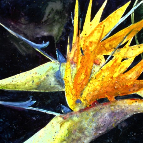 Pair of Paradise
22x30 Pair of Paradise
22x30